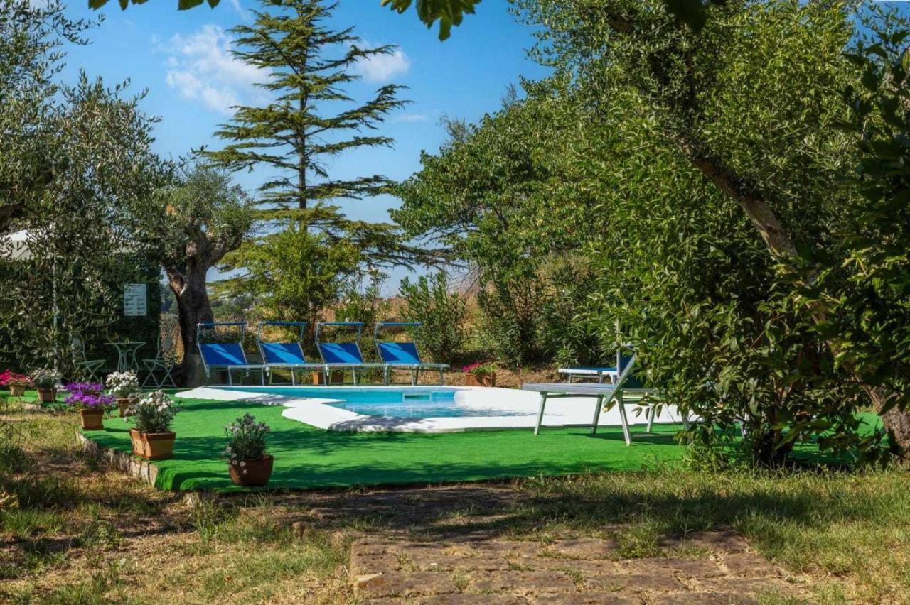 La Meriggia Agriturismo- Ampio Appartamento Con Terrazza Esclusiva Ancona Exterior foto